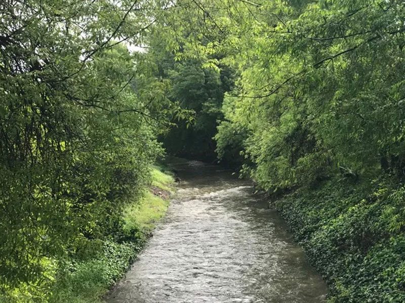 Santiago Creek flowing lightly through trees and greenery near Fisher Park.